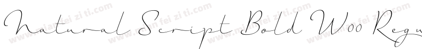 Natural Script Bold W00 Regular字体转换